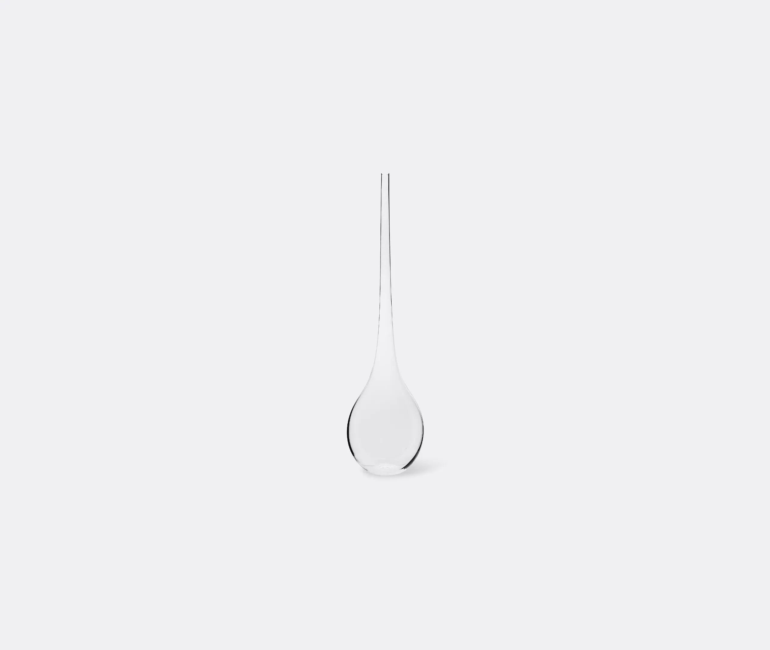 Elongated Neck Vase with Curves - Clear, Glass