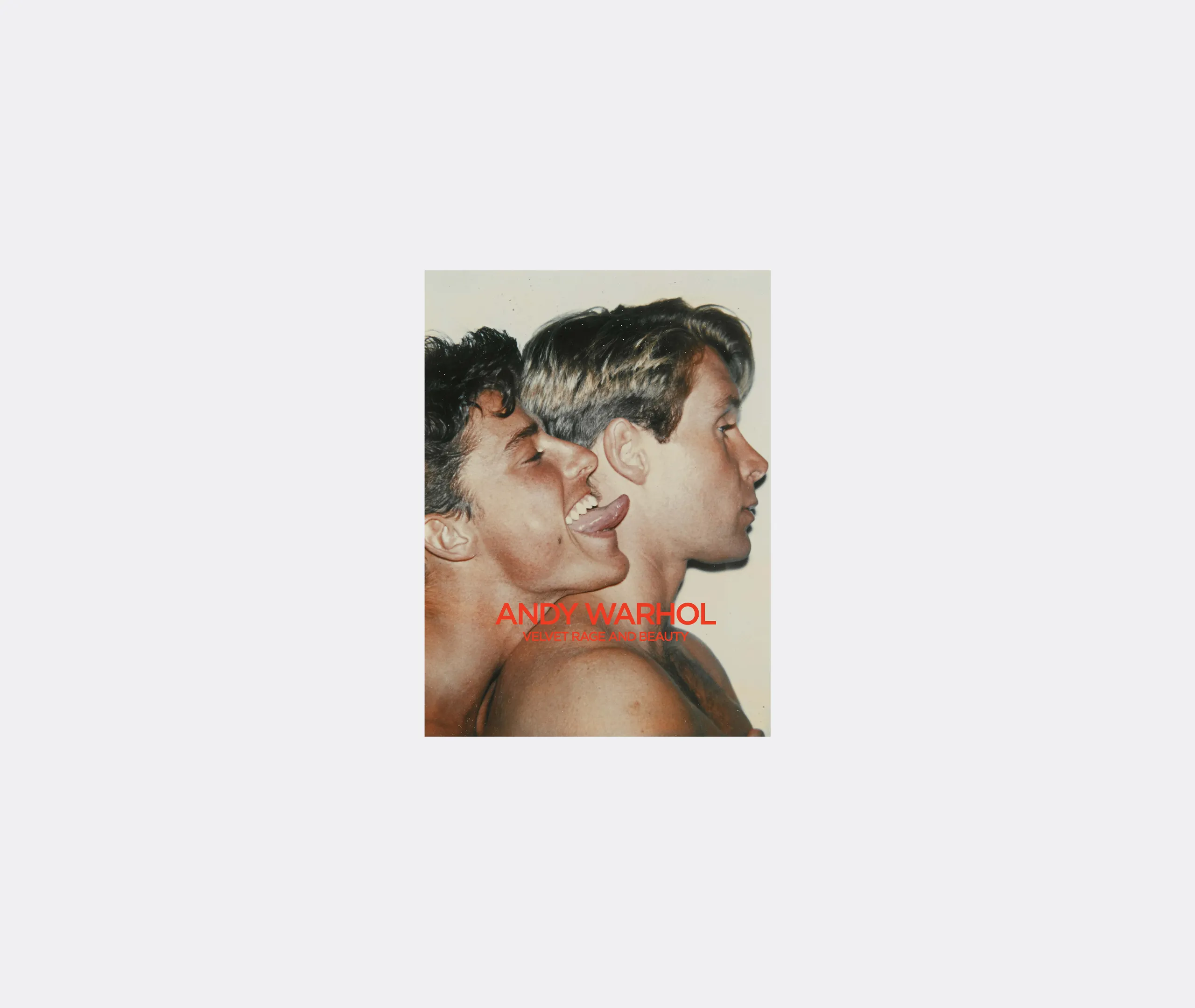 Andy Warhol: Velvet Rage Beauty Art Book - Multicolour product