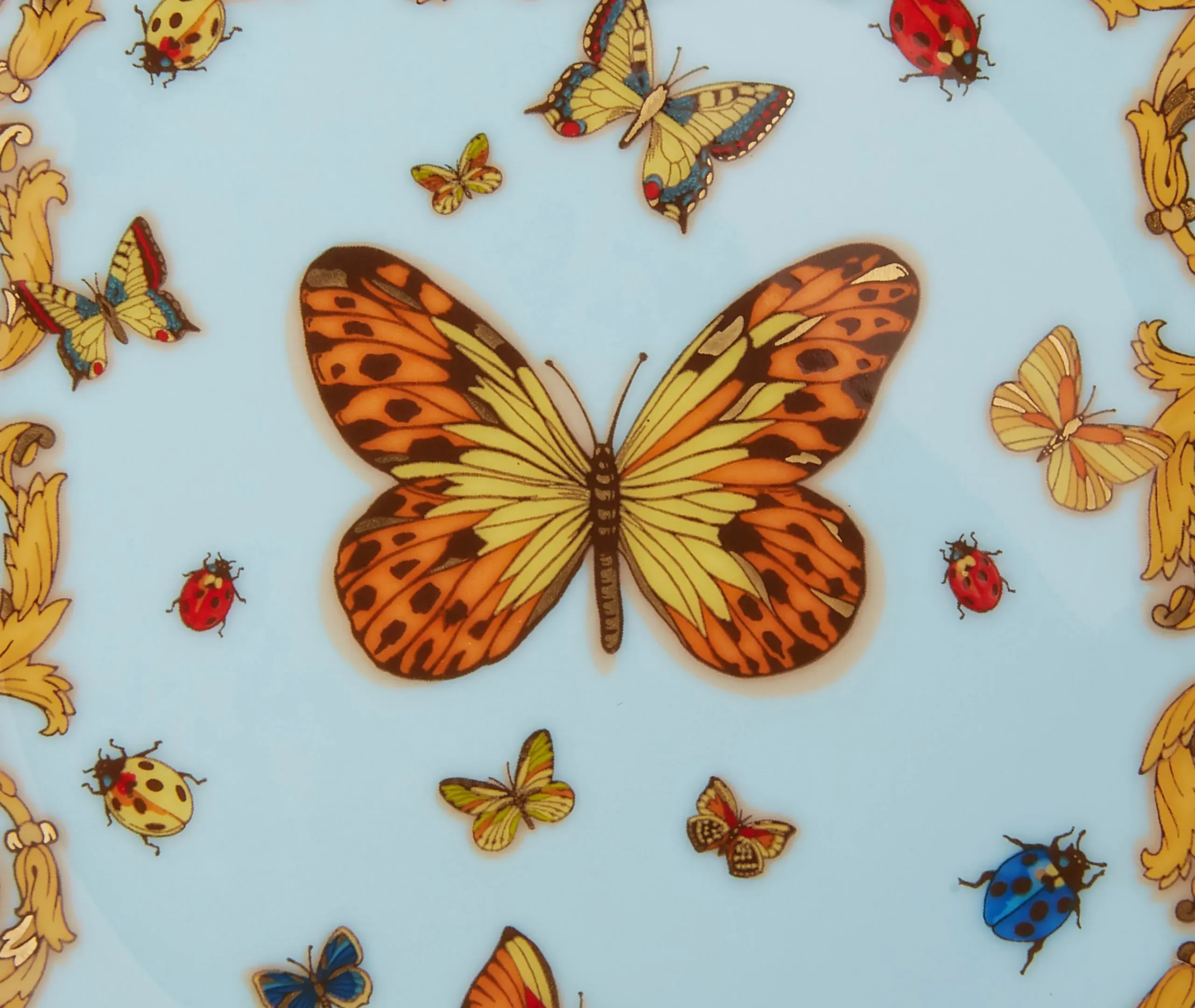Square Bowl Garden Design - Multicolor, Porcelain