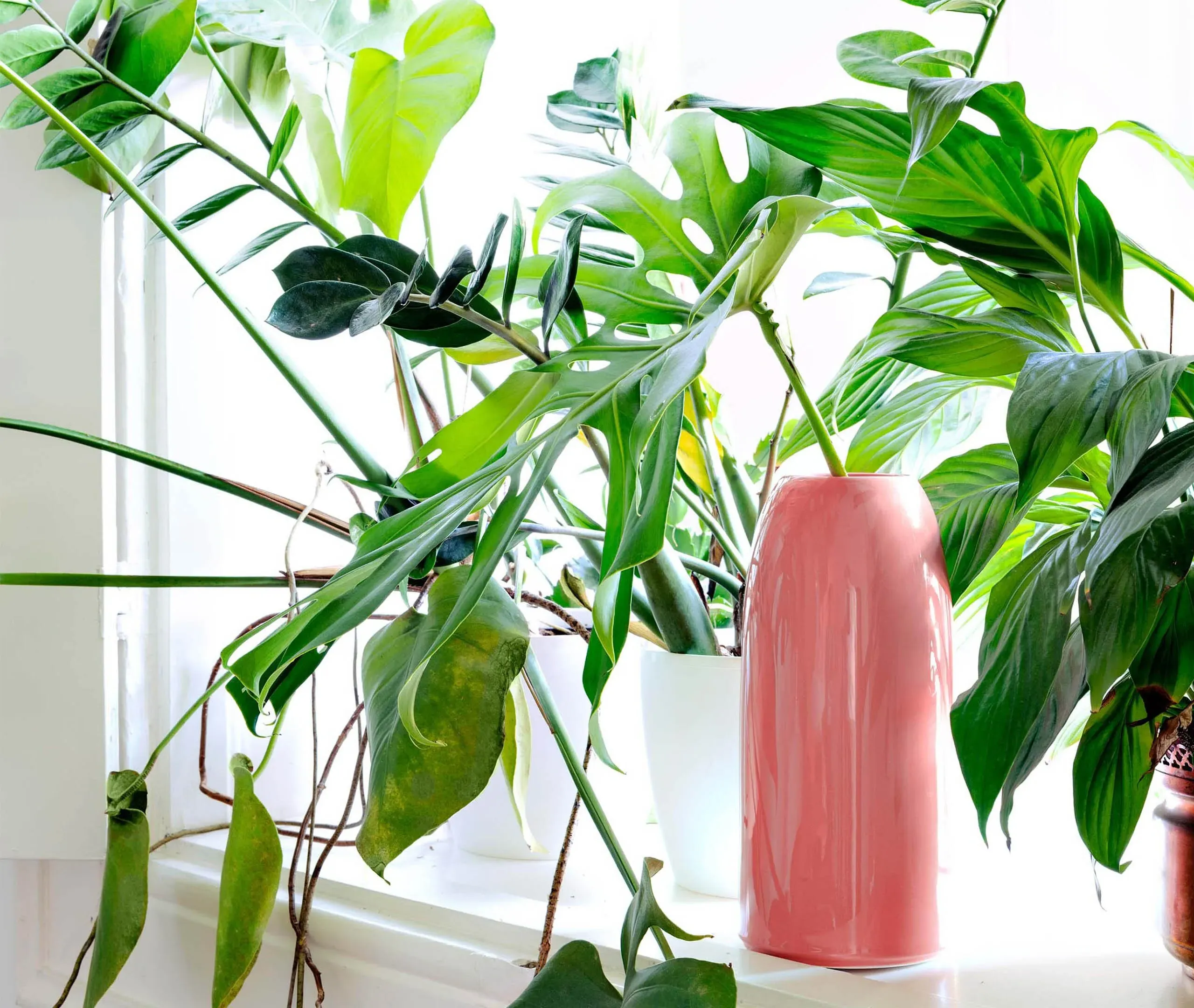 Medium Vase - Pink, Terracotta