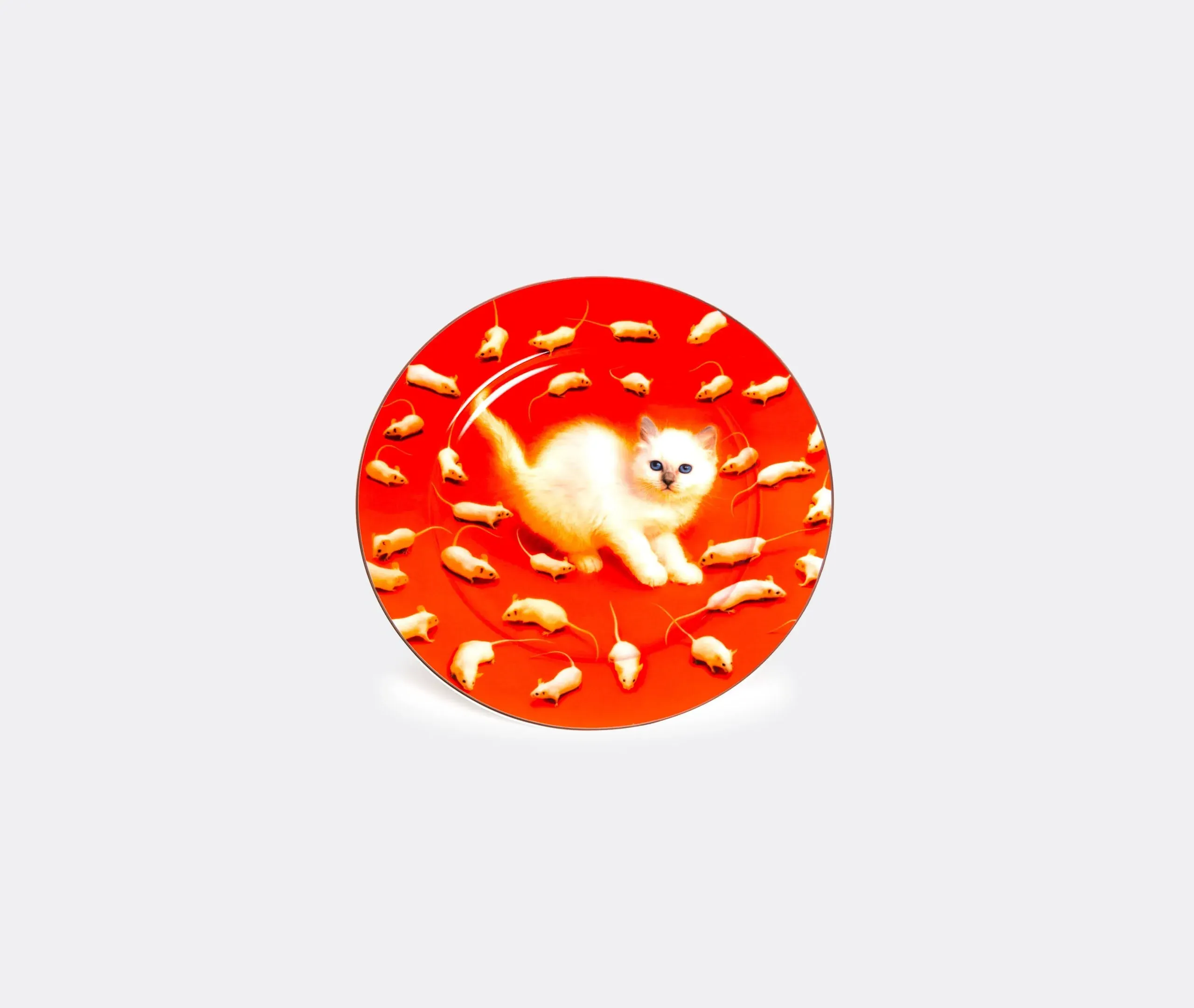 Toiletpaper Kitten Dinner Plate - Multicolor, Porcelain product