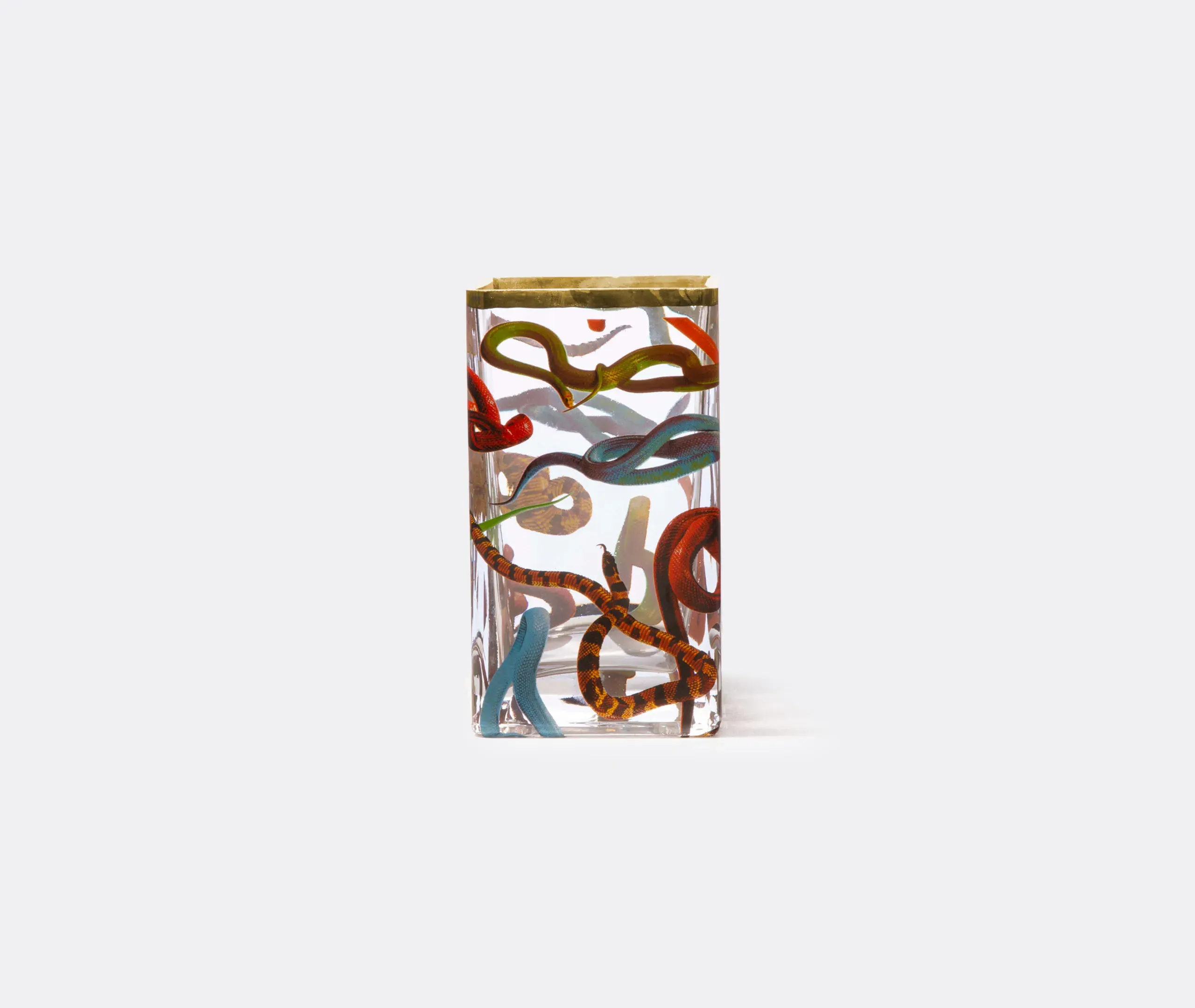 Toiletpaper 'Snakes' Small Square Vase - Transparent, Glass alternate view