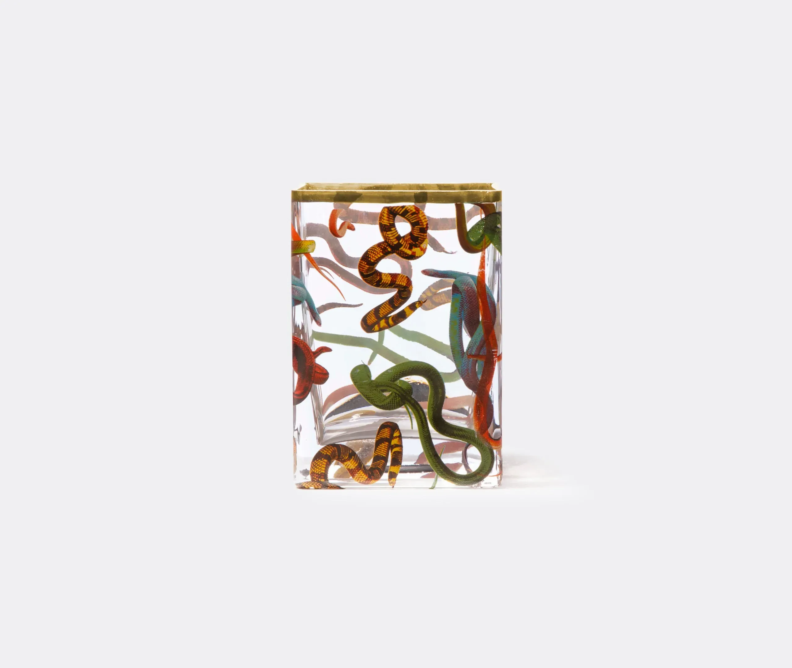 Toiletpaper 'Snakes' Small Square Vase - Transparent, Glass product