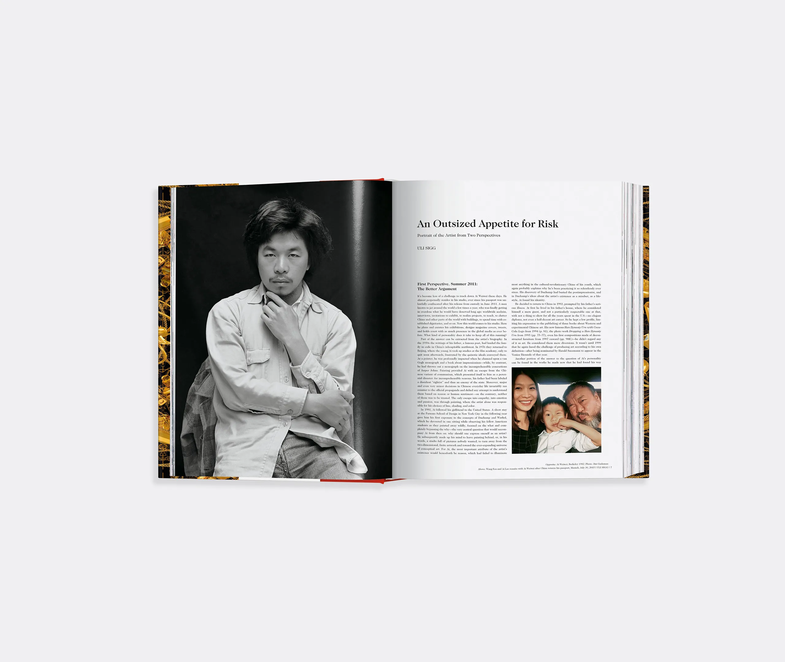 Ai Weiwei Updated Edition Monograph Book - Multicolour alternate view