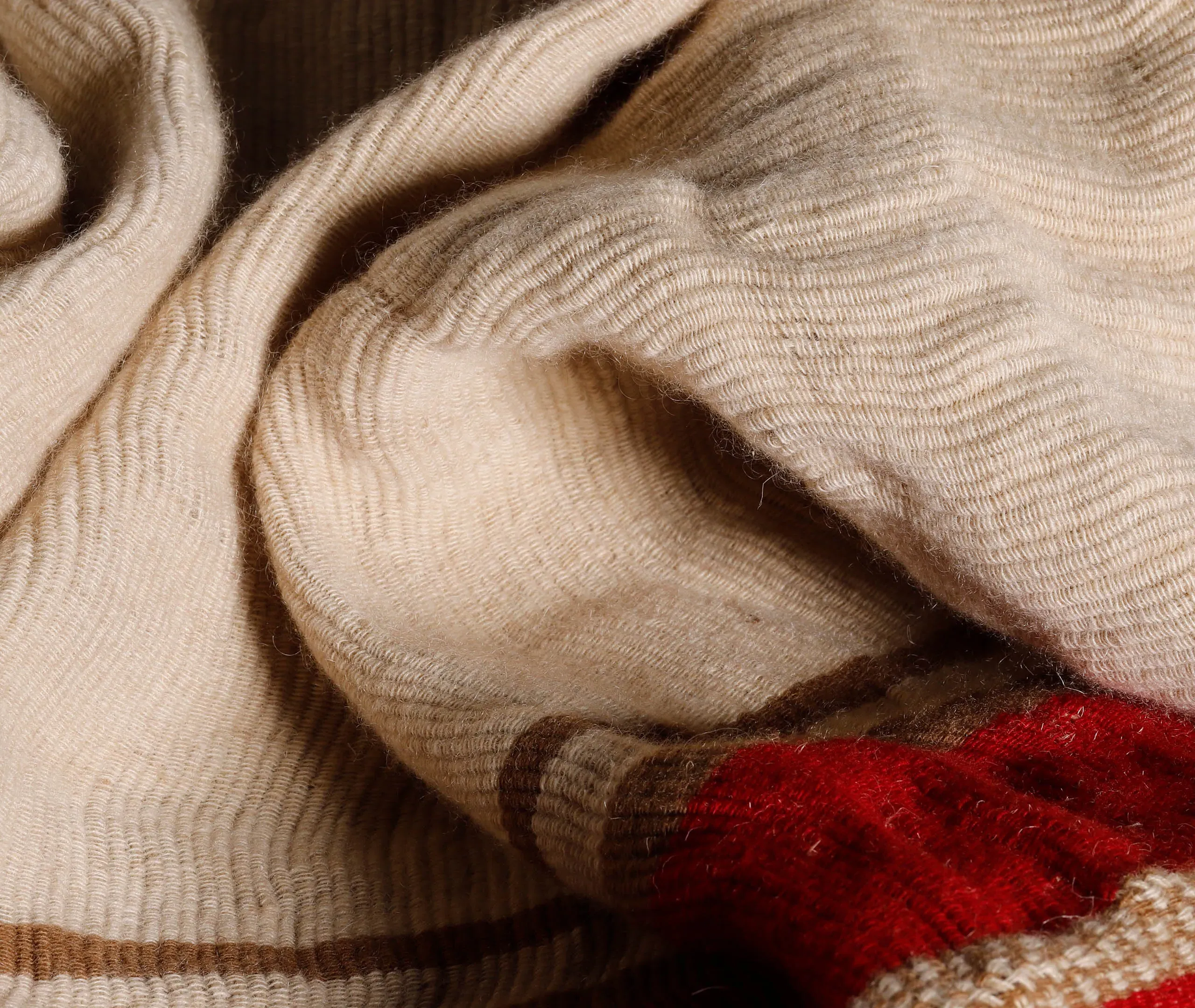 Bardo Throw Blanket with Border - White, Cashmere