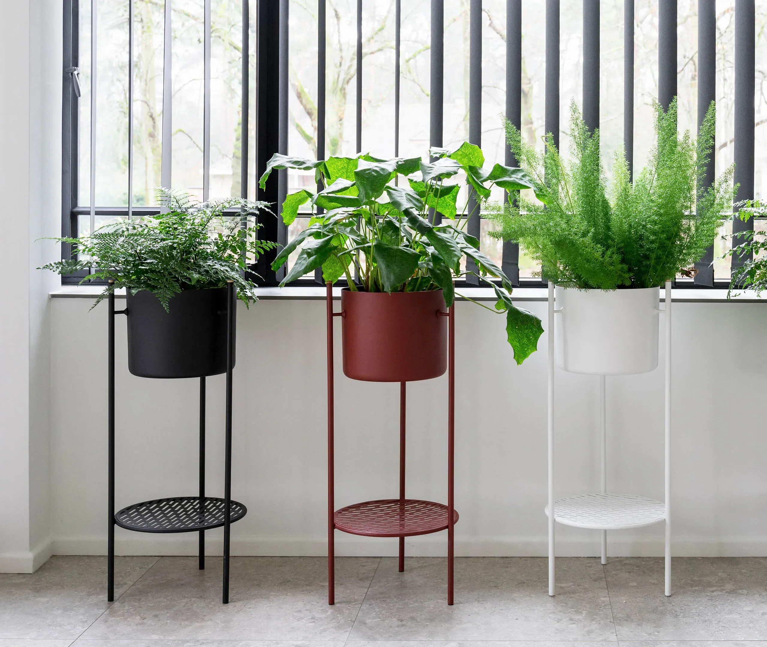 Ent Medium Plant Stand - Black, Iron