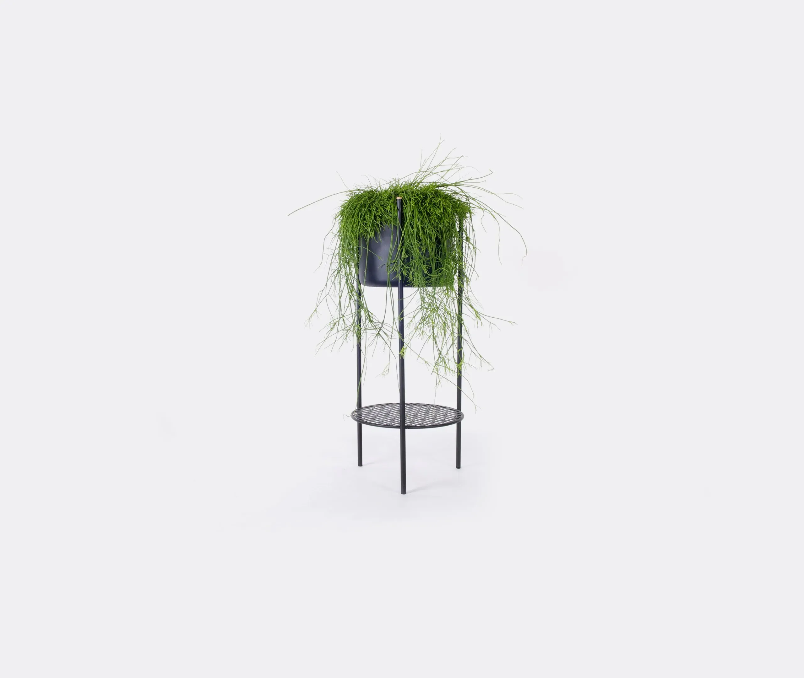 Medium Plant Stand with Storage - Black, Iron image