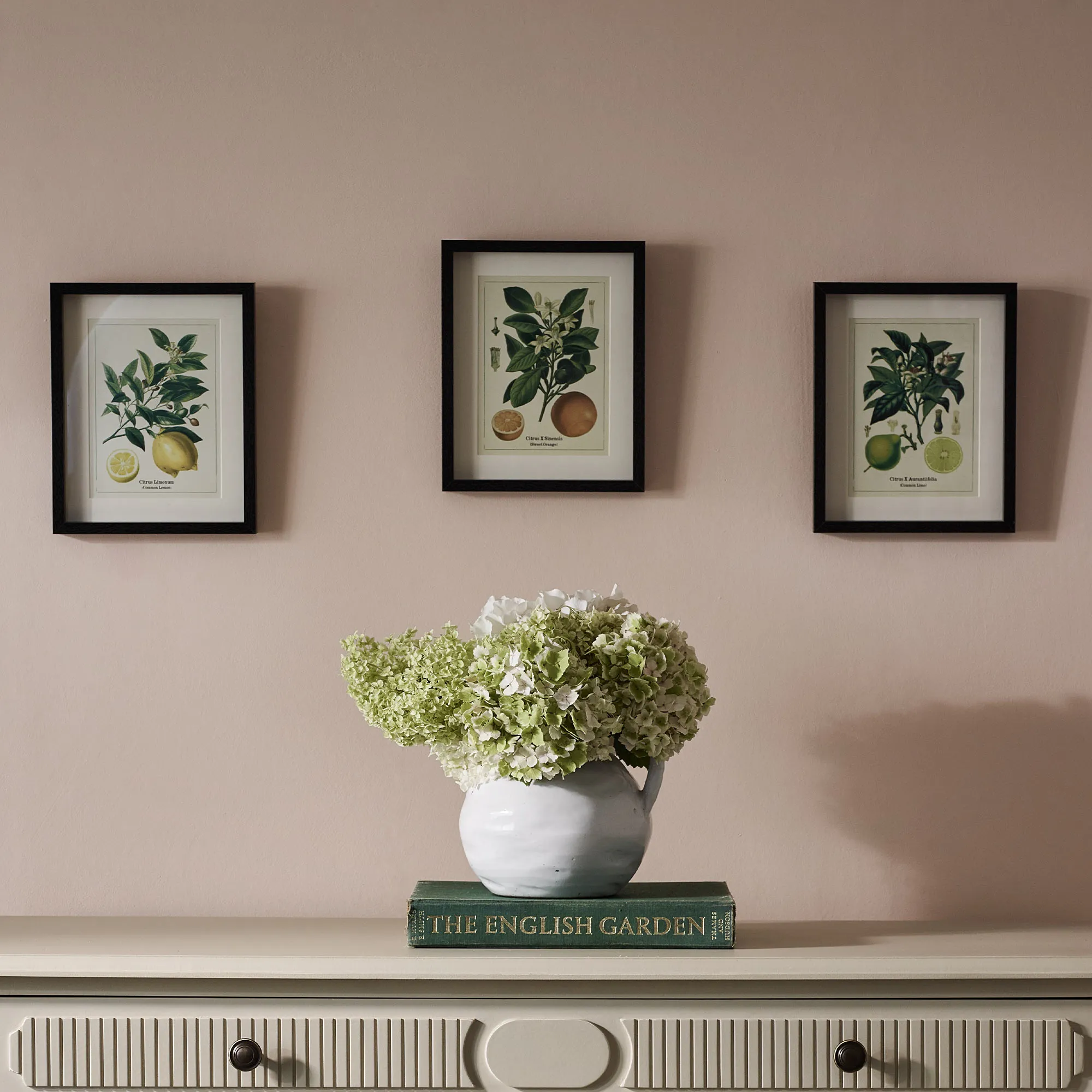Tuscan Citrus & Botanical Wall Art Trio - Black by French Bedroom