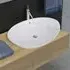 Abilene Oval Countertop Basin Without Waste 590mm - White