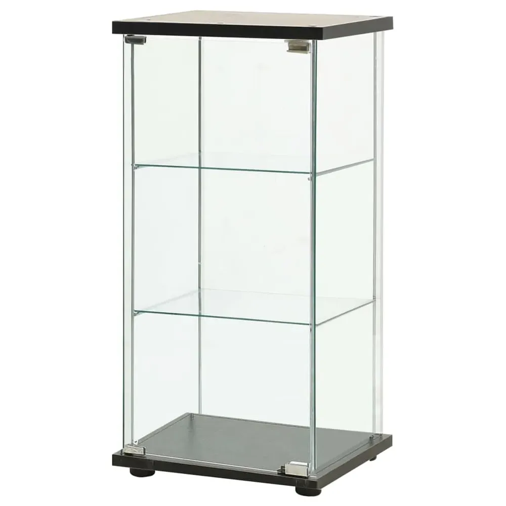 Absecon Shoe Storage Cabinet with Tempered Glass - Black