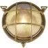 Afton Round Bulkhead Outdoor Wall Light - Brass