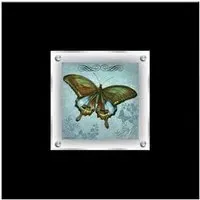 Agatiyo Decorative Butterfly 2 Wall Art Frame - Multicolor