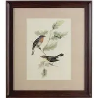 Agatiyo Framed Birds 2 Wall Art - Multi Coloured