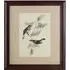 Agatiyo Framed Birds 2 Wall Art - Multi Coloured