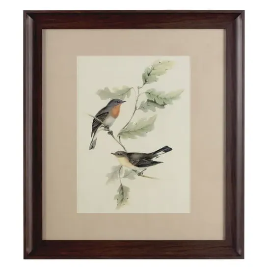 Agatiyo Framed Birds 2 Wall Art - Multi Coloured image