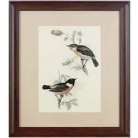 Agatiyo Framed Birds Wall Art - Assorted