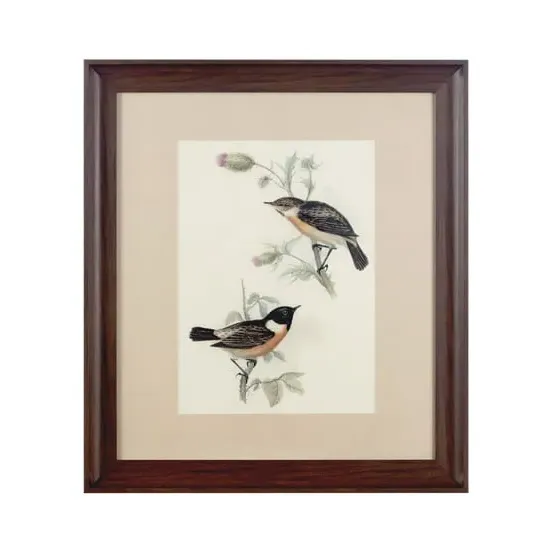 Agatiyo Framed Birds Wall Art - Assorted
