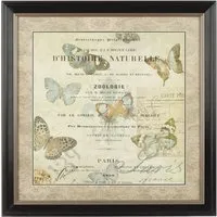 Agatiyo Framed Butterfly Wall Art - Assorted
