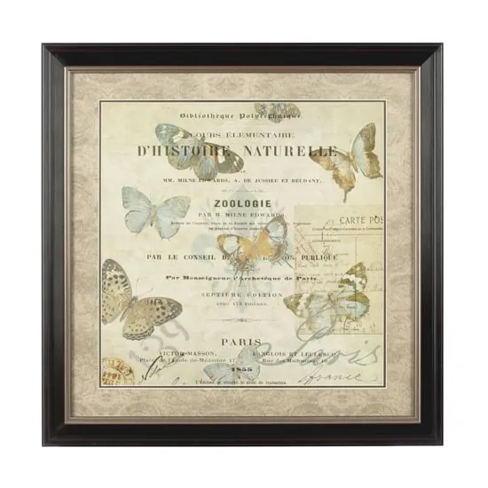 Agatiyo Framed Butterfly Wall Art - Assorted