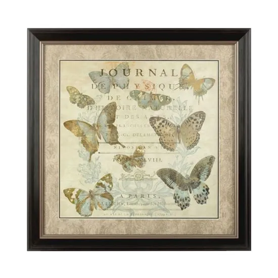 Agatiyo Framed Butterfly Wall Art - Assorted
