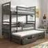 Aiken Bunk Bed without Mattress - Graphite, Wood