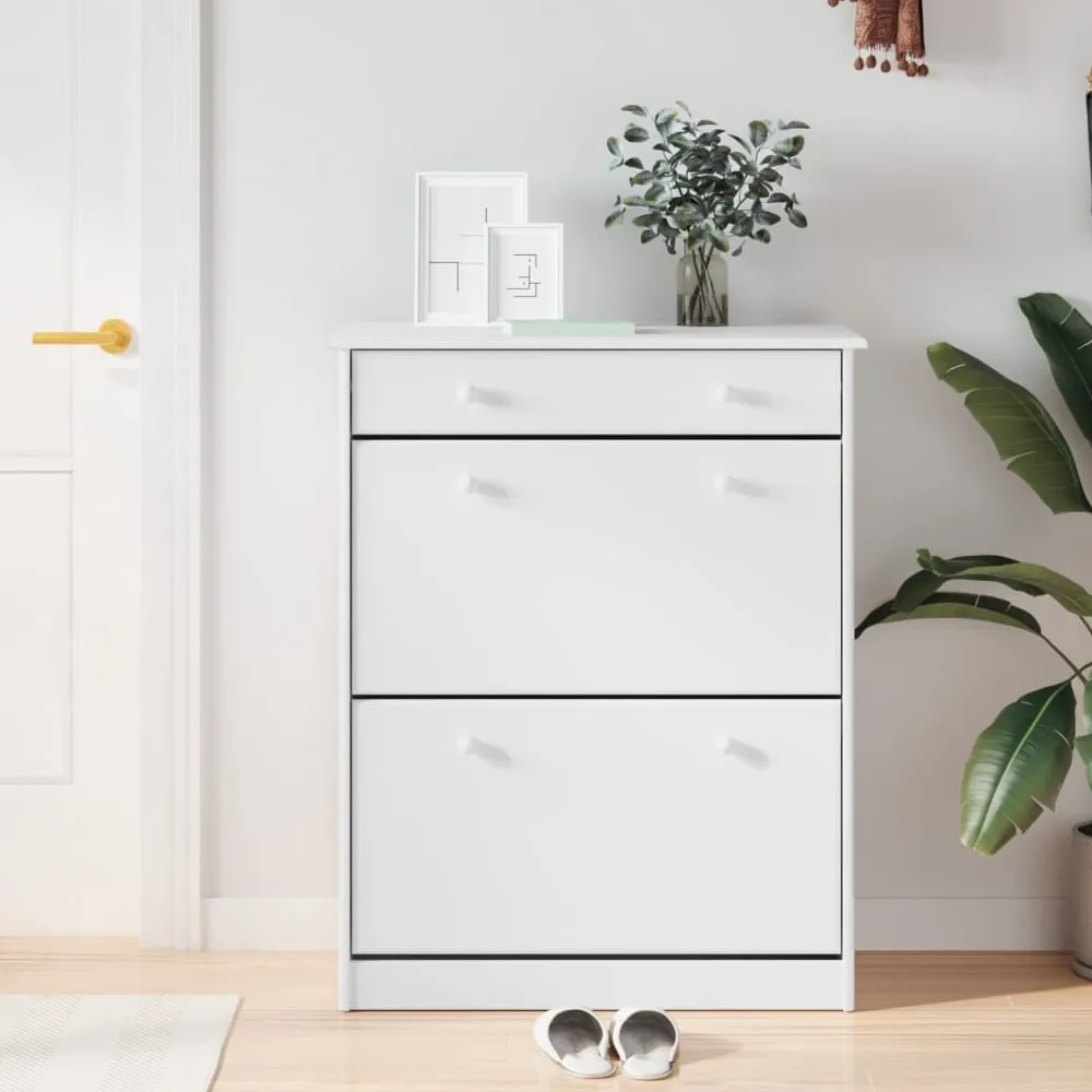 Akron Shoe Storage Cabinet with Drawer - White, Pine