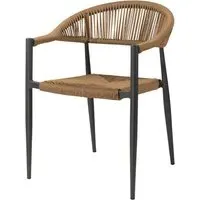 Alamosa Rattan Armchair - Natural, Aluminium