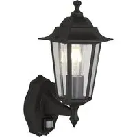 Alex Clear Glass Outdoor Wall Light - Black, Metal