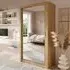 Allen 120cm Mirrored Wardrobe with Sliding Doors - Artisan Oak