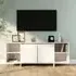 Aloha TV Stand with 2 Doors - White, Engineered Wood