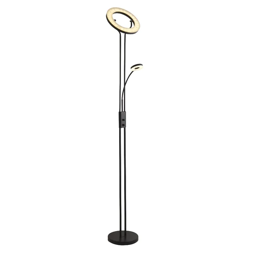 Ames LED Mother And Child Floor Lamp - Matt Black, Metal image