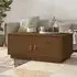 Anicet Coffee Table with 2 Doors - Brown, Pinewood