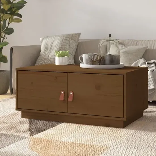 Anicet Coffee Table with 2 Doors - Brown, Pinewood image