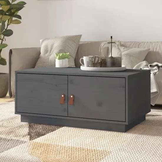 Anicet Coffee Table with 2 Doors - Grey, Pinewood