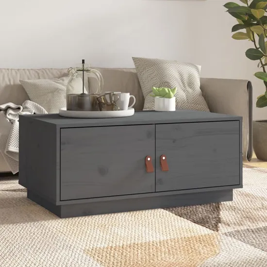 Anicet Pine Wood Coffee Table with 2 Doors - Grey product