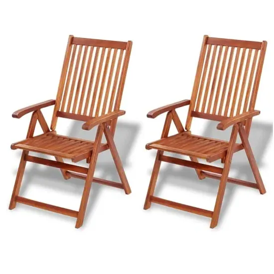 Arana Outdoor 5-Position Folding Chairs Pair - Natural, Acacia