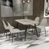 Arta Rectangular Dining Table with 4 Curve Chairs - Calico
