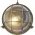 Avon Bulkhead Outdoor Light - Brass