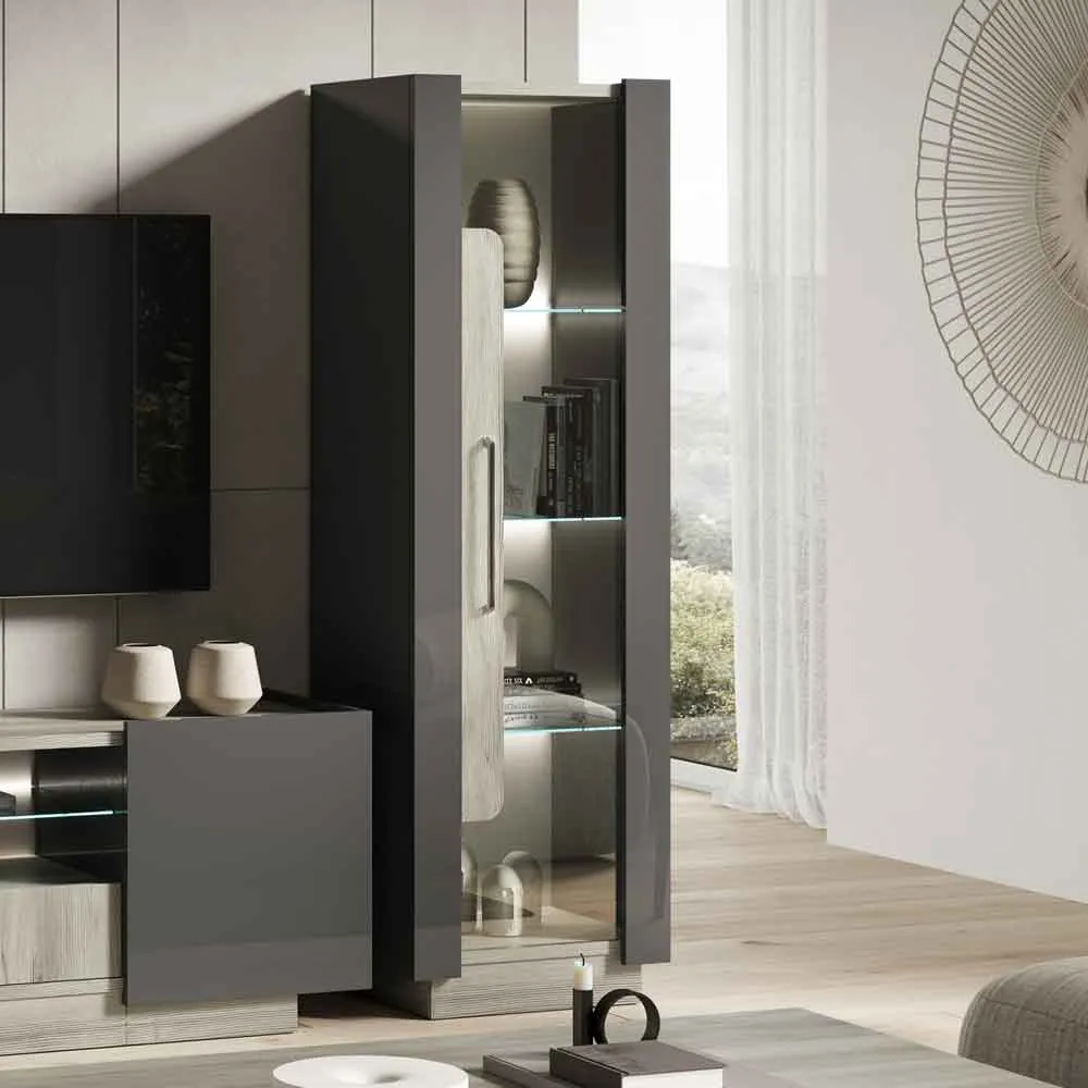Avora 1-Door Display Cabinet with LED - Dark Grey, High Gloss product