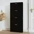 Axton Shoe Storage Cabinet with 4 Flaps - Black, Engineered Wood