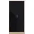 Babylon 2-Door Wardrobe - Oak, Black Gloss