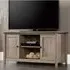Batesville TV Stand with 2 Doors - Salt Oak