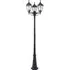 Belleville 3-Light Lamp Post - Black, Glass