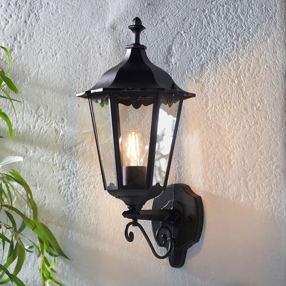 Belleville Small Outdoor Wall Light - Black, Clear Glass product