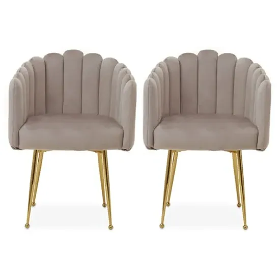 Beria Upholstered Dining Chairs Pair - Mink, Velvet image