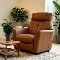 Bionel 1 Seater Sofa - Camel, Leather alternate view