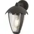 Bluebell Outdoor Wall Light - Dark Grey, Polycarbonate