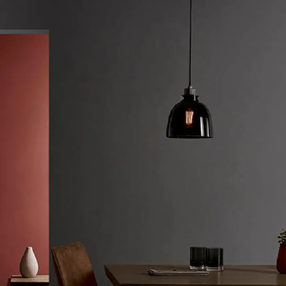 Butte Tinted Glass Shade Ceiling Light - Black