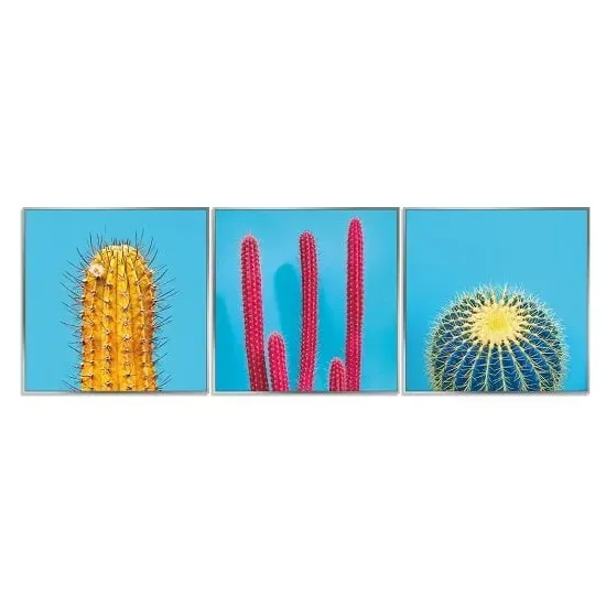 Cactus Pictures Set of 3 - Silver, Acrylic image