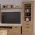Caneadea LED Display Cabinet with 2 Doors - Artisan Oak